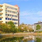 本页围绕「e星app首页